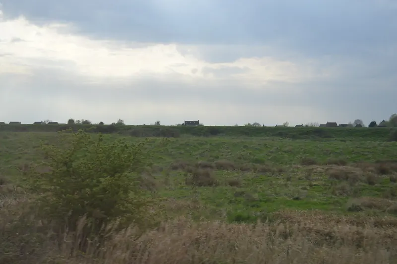 An expanse of tussocky rough grassland under a grey sky